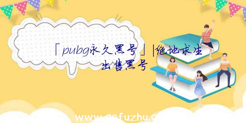 「pubg永久黑号」|绝地求生出售黑号